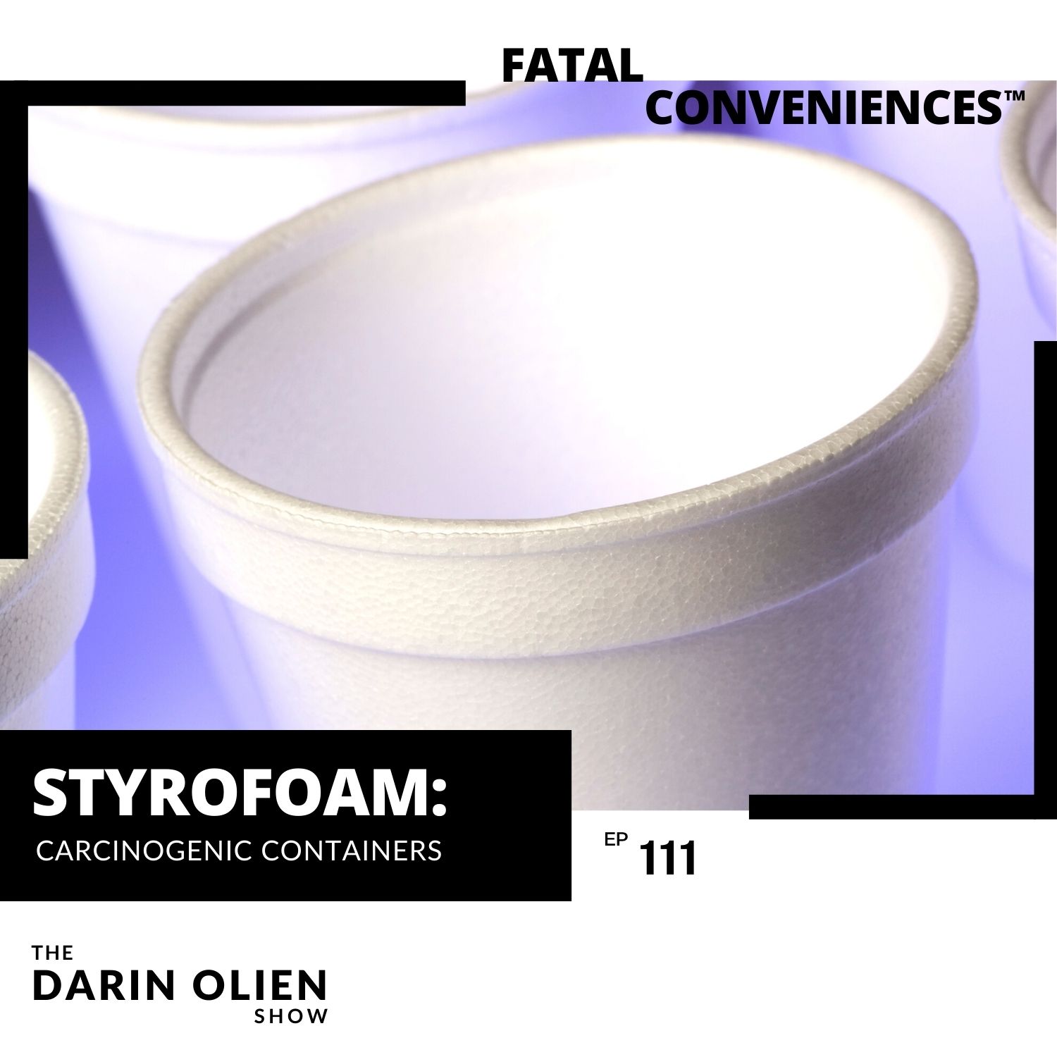Styrofoam: The secret behind how it can affect your health – The Hampton  Script