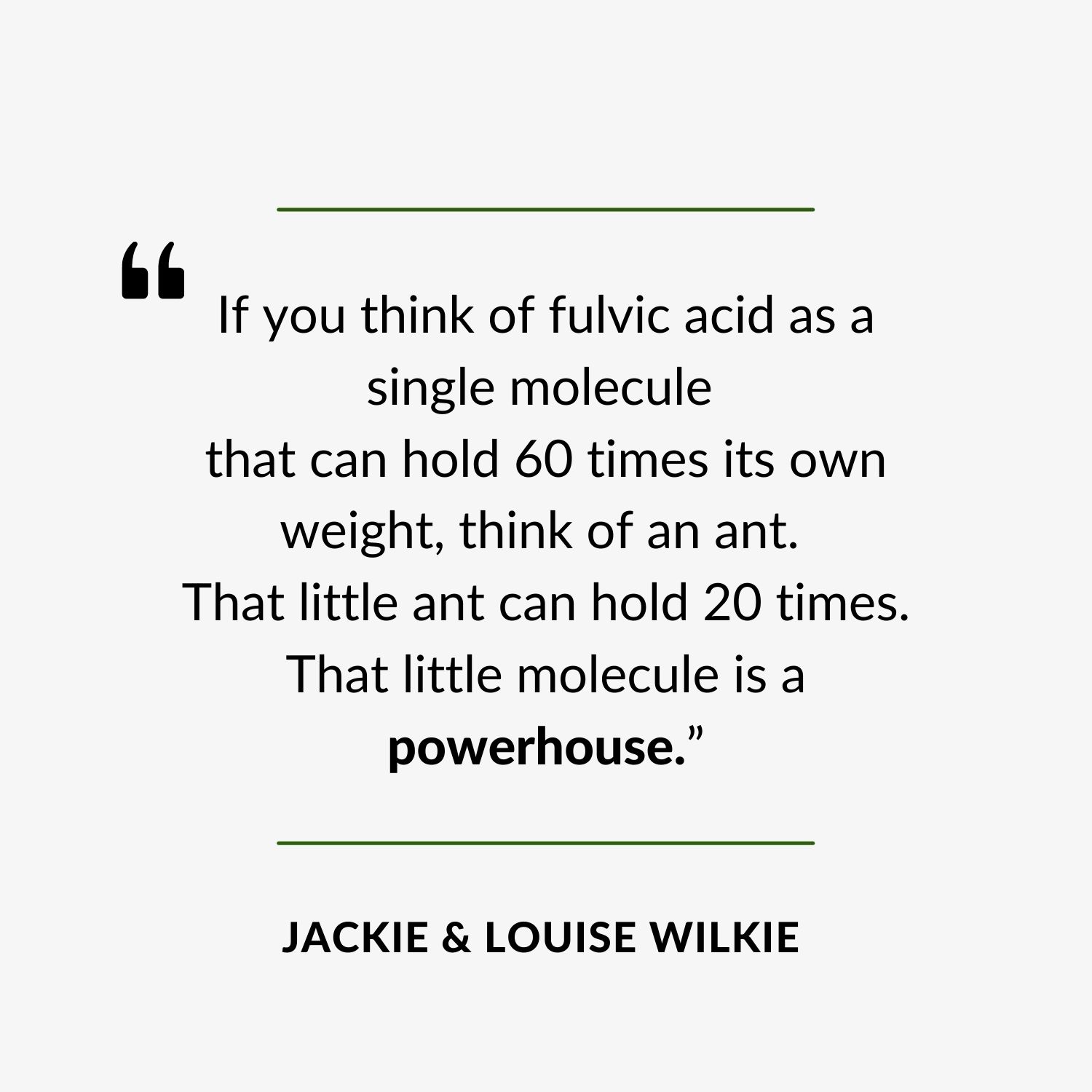 https://darinolien.com/wp-content/uploads/2022/06/Website-Quote-Jackie-Louise-.jpg