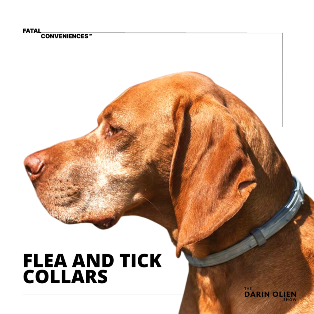 Flea & Tick collars on pets